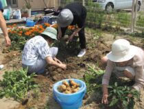 菜園スペースを貸し出します。花や野菜づくりを楽しめます。 菜園スペースを貸し出します。花や野菜づくりを楽しめます。