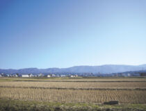 東山丘陵と悠久山を望む豊かな自然環境を楽しめます。 悠久山を望む環境