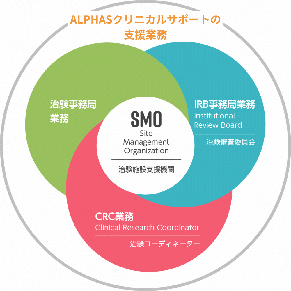 治験業務を効果的に成功へと導くトータルサポートシステム